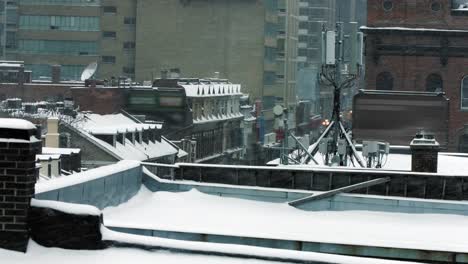 Roofs-in-the-winter