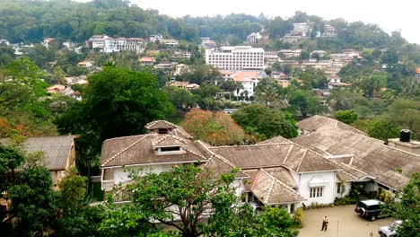 Ciudad-tropical-verde-arriba,-escondido-entre-árboles,-tranquilo-paisaje-urbano-de-edificios