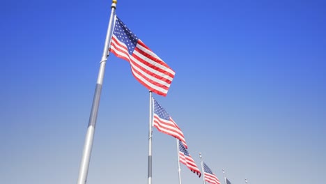 Video-aufgenommen-in-washington-dc-von-amerikanischen-Flaggen