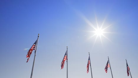 video-shot-in-washington-dc-of-american-flags