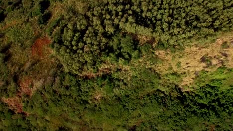 Mauritius-aerial-scene