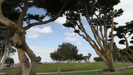 Embarcadero-Marina-Park-in-Sandiego-California-USA