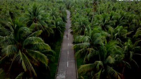 Drone-point-of-view-of-man-driving-motorbike-in-palm-trees-road-in-the-Philippines,-aerial-view-from-drone