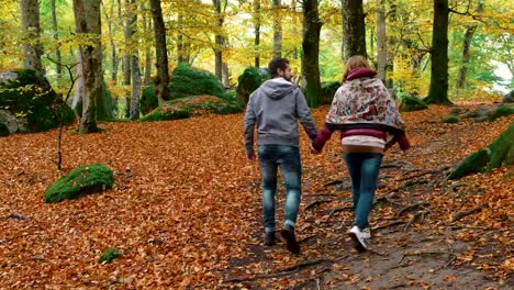 Lovers-walking-holding-hands-in-fall-park.-Love,nature