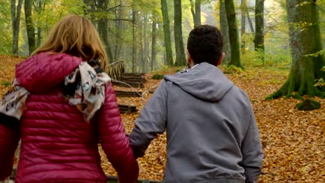 Junges-paar-zu-Fuß-auf-Holztreppen-in-den-Wald-Rückansicht