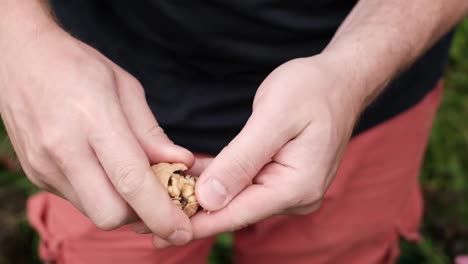 Hombre-caucásico-con-nueces-frescas-en-la-mano.-Encuentro-sabroso-frutos-secos-en-otoño.