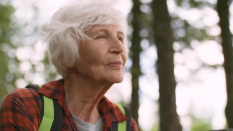 Elderly-Female-Tourist-Enjoying-Tea-in-Forest