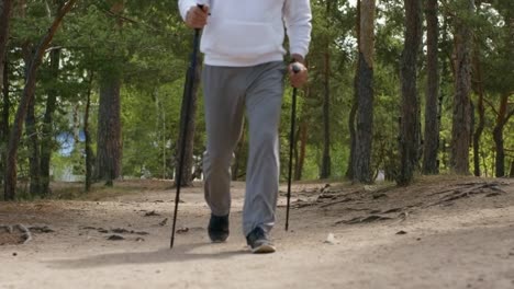 Happy-Senior-Man-with-Trekking-Poles-Hiking