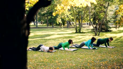 Active-young-people-females-are-doing-yoga-practising-sequence-of-asanas-outdoors-in-park,-women-in-group-are-wearing-trendy-sportswear-and-using-mats.