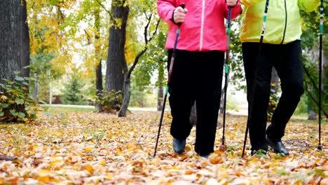 Two-elderly-women-are-doing-Scandinavian-walking-in-the-park.-View-from-the-ground