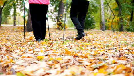 Zwei-ältere-Frauen-machst-skandinavischen-im-Park-spazieren.-Füße.