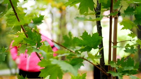 Green-leaves-in-focus,-Mature-woman-doing-gymnastics-out-of-focus