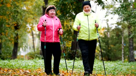 Las-mujeres-de-edad-caminando-en-un-parque-de-otoño-durante-un-escandinavo