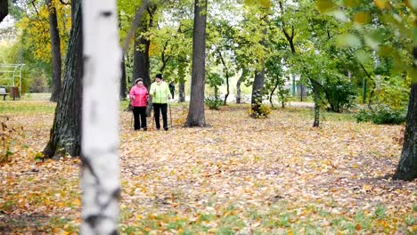 Dos-ancianas-están-haciendo-a-escandinavo-caminando-en-el-parque.-Temporada-de-otoño