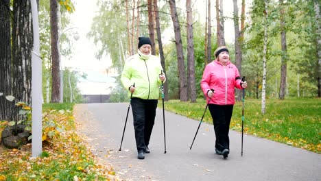 Zwei-ältere-Frauen-machst-skandinavischen-im-Park-spazieren.-Mitte-Schuss