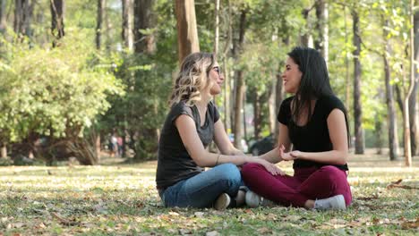 Two-friends-talking-to-each-other-at-the-park.-Candid-conversation-between-two-girlfriends-speaking-exchanging-ideas-and-gossip