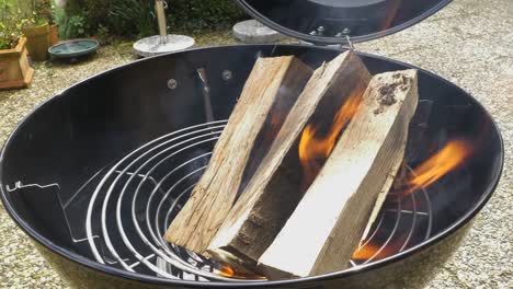 Holzscheite-Brennen-auf-einen-Grill-im-freien