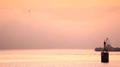 Pendler-Fähre-und-Nebel,-Vancouver-Harbour