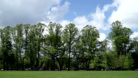 Lime-Bäume-in-Calthorpe-Park,-Birmingham,-England.