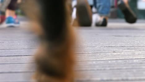 Diversity-of-People-Walking-Feet-on-the-Street