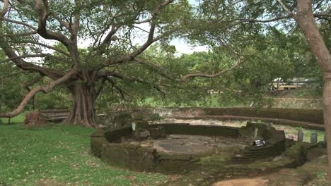 View-to-the-ruins-of-the-ancient-city-and-trees-in-Polonnaruwa,-Sri-Lanka.