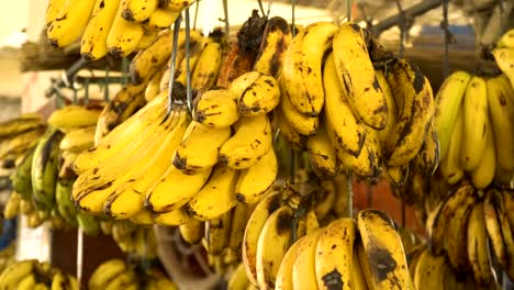 Plátanos-en-el-mercado-de-frutas