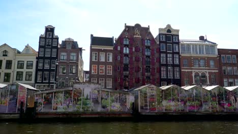 The-view-of-the-big-buildings-and-the-flower-house