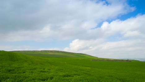 Farbenfrohe-Blick-auf-landwirtschaftlichen-Feldern-timelapse