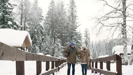 Paar-genießt-Winterspaziergang