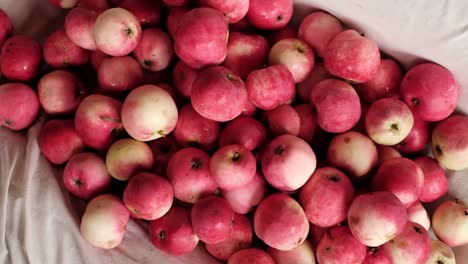 viele-rote-reife-Äpfel-gesammelt-im-Sommer