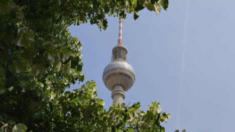 Ein-Schuss-von-den-Fernsehturm-unter-einem-Baum.