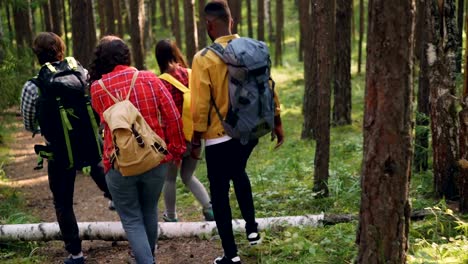 Rear-view-of-cheerful-young-men-and-women-tourists-with-knapsacks-trekking-in-woods-along-wild-path,-enjoying-beautiful-nature-and-talking.-People-and-forest-concept.