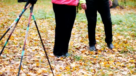 Mature-women-doing-gymnastics-in-an-autumn-park.-Feet