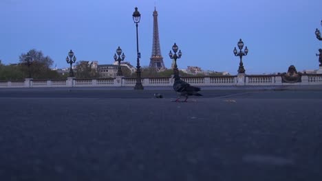 Morgen-in-der-Nähe-von-Alexander-Brücke,-Paris,-Frankreich