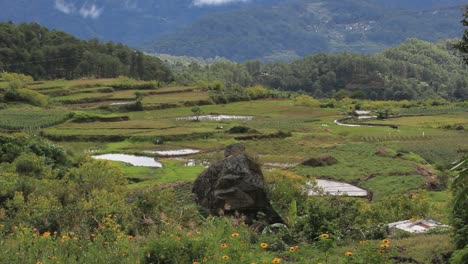 Rice-terraces-in-The-Philippines