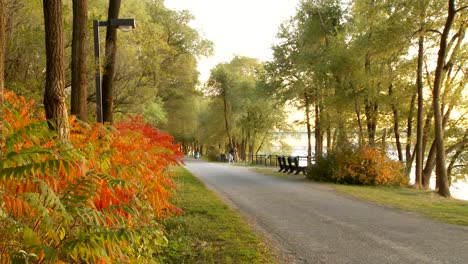 Autumn-in-Montreal