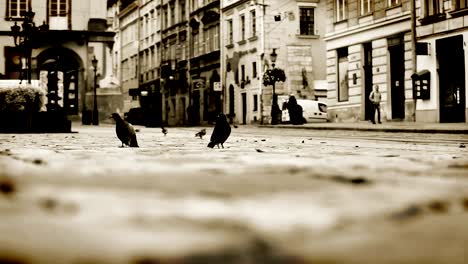 The-Rynok-(Market)-Square-in-Lviv,-Ukraine.