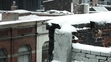 Roofs-in-the-winter