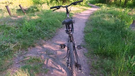 Chico-adolescente-prepara-el-camino-para-un-paseo-en-bicicleta.-Chico-limpia-la-carretera-distintas-los-insectos.