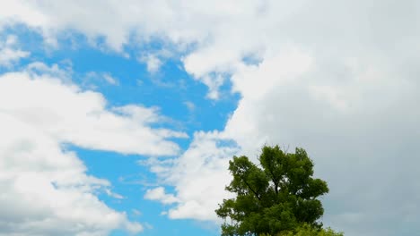 Umzüge-von-Regenwolken-über-den-Baum-in-der-Regenzeit-von-Thailand.