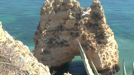 Die-Küste-der-Algarve-in-Lagos-Portugal