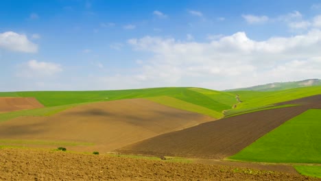 Colorfull-view-of-agricultural-fields-zoom-out-timelapse