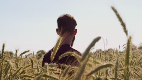 Man-with-beard-looking-around-Beautiful-wheat-field-with-blue-sky-and-epic-sun-light---shot-on-RED