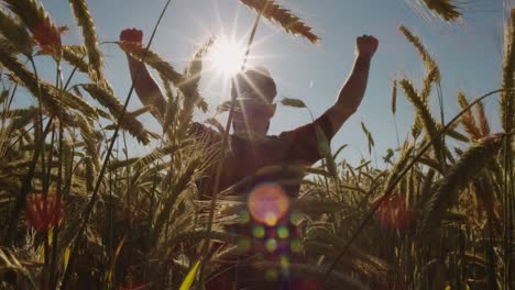 Adult-standing-in-Beautiful-wheat-field-and-raising-hands-with-blue-sky-and-epic-sun-light---shot-on-RED