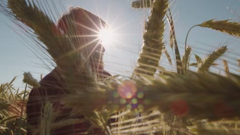 Adult-standing-in-Beautiful-wheat-field-wearing-sunglasses-with-blue-sky-and-epic-sun-light---shot-on-RED