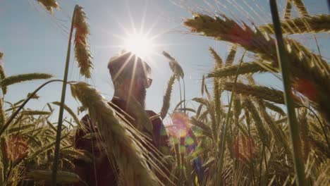 Adult-standing-in-Beautiful-wheat-field-wearing-sunglasses-with-blue-sky-and-epic-sun-light---shot-on-RED