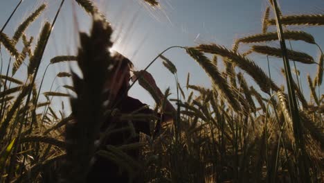 Adult-standing-in-Beautiful-wheat-field-with-blue-sky-and-epic-sun-light---shot-on-RED