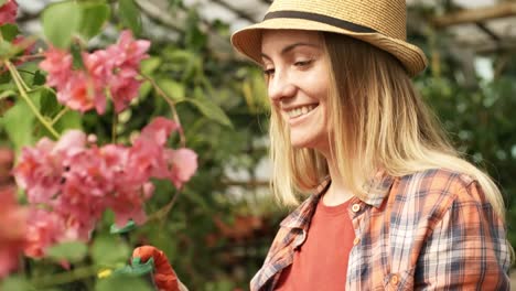 Glückliche-Frau-Fürsorge-für-blühende-Blumen-im-Gewächshaus