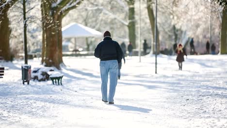 park-with-snow-on-sunny-day