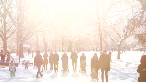 Menschen-im-park-an-einem-sonnigen-Wintertag